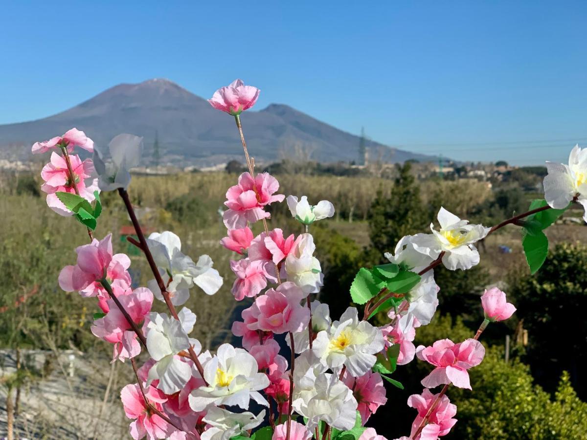 Villa Valentino Pompeji Eksteriør billede